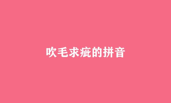 吹毛求疵的拼音