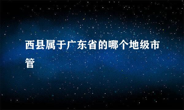 西县属于广东省的哪个地级市管