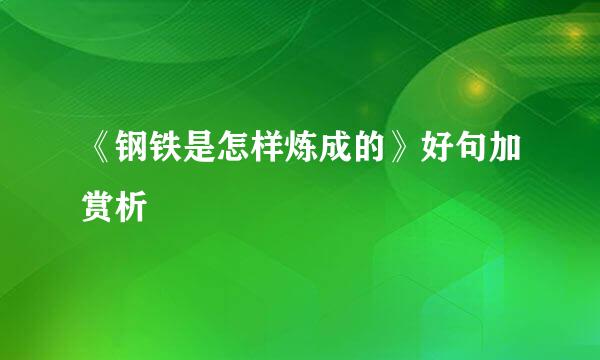 《钢铁是怎样炼成的》好句加赏析