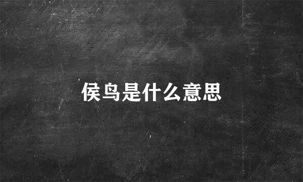 侯鸟是什么意思