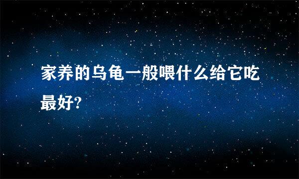 家养的乌龟一般喂什么给它吃最好?