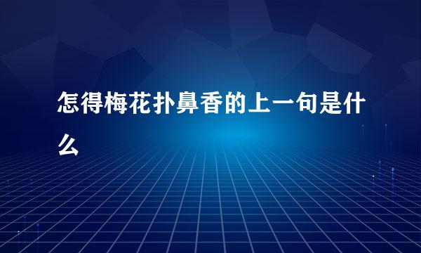 怎得梅花扑鼻香的上一句是什么