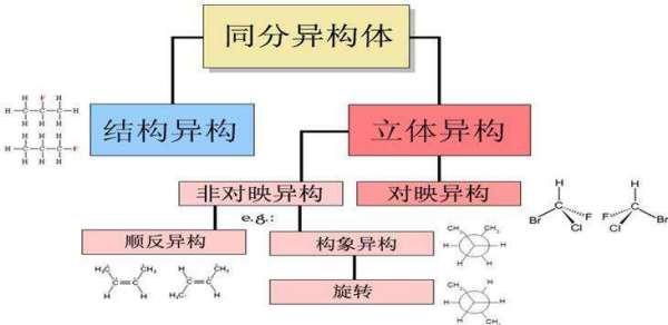 顺反异构体怎么区分