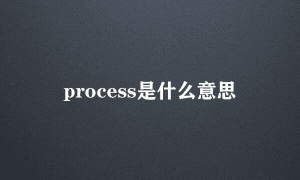 process是什么意思