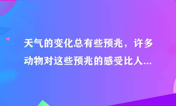 天气的变化总有些预兆，许多动物对这些预兆的感受比人类要灵敏得多。