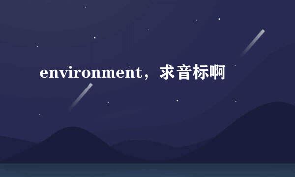 environment，求音标啊