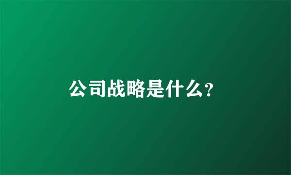 公司战略是什么？