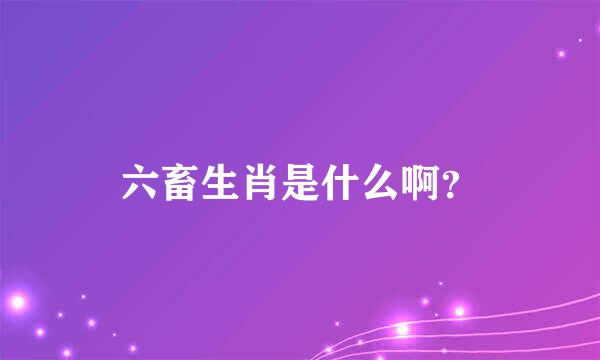 六畜生肖是什么啊？