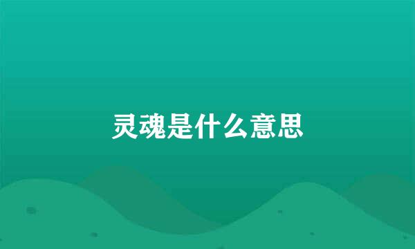 灵魂是什么意思