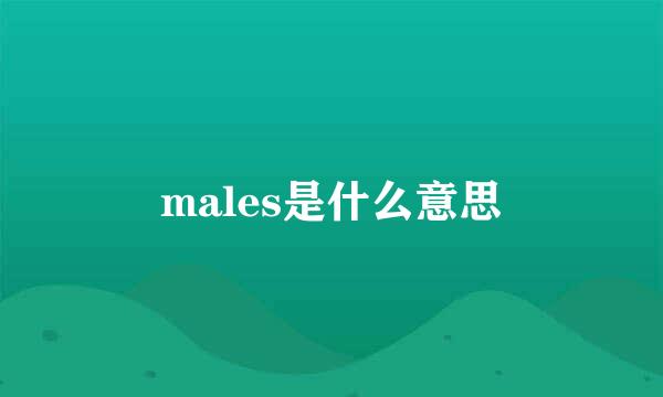 males是什么意思