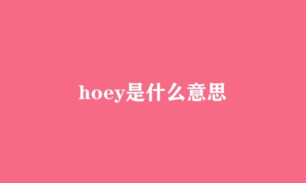 hoey是什么意思