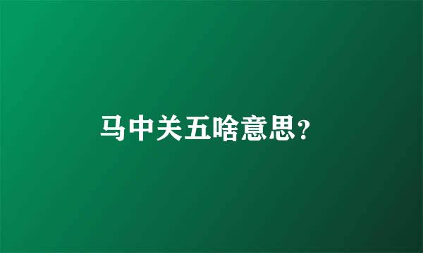 马中关五啥意思？