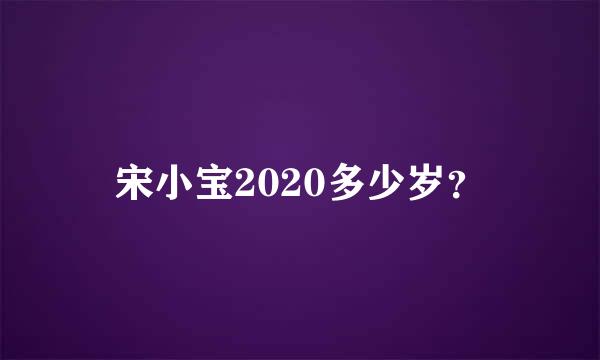 宋小宝2020多少岁？