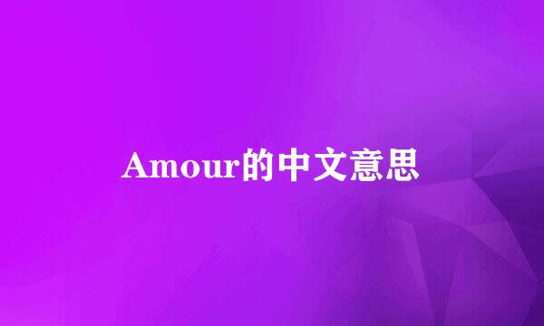 Amour的中文意思