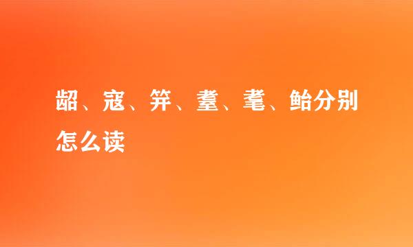 龆、寇、笄、耋、耄、鲐分别怎么读