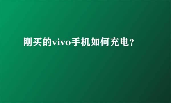 刚买的vivo手机如何充电？