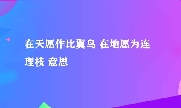 在天愿作比翼鸟 在地愿为连理枝 意思