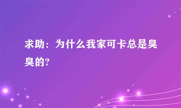 求助：为什么我家可卡总是臭臭的?