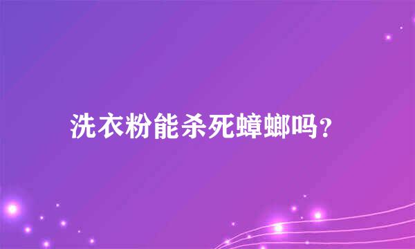 洗衣粉能杀死蟑螂吗？