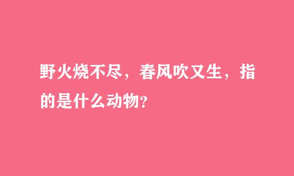 野火烧不尽，春风吹又生，指的是什么动物？