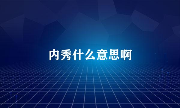 内秀什么意思啊