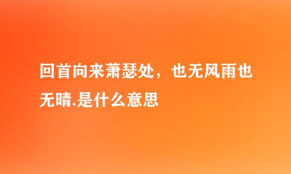 回首向来萧瑟处，也无风雨也无晴.是什么意思