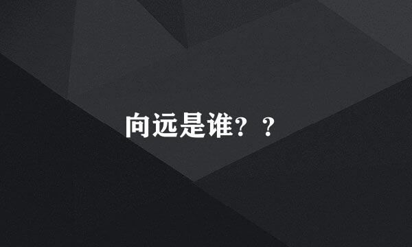 向远是谁？？