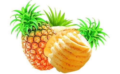 pineapple怎么读