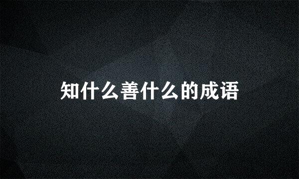 知什么善什么的成语