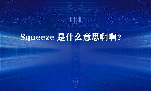 Squeeze 是什么意思啊啊？