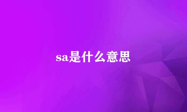 sa是什么意思