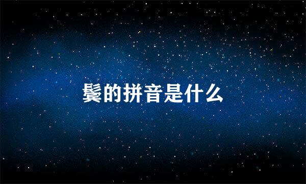 鬓的拼音是什么