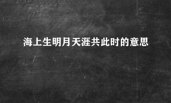 海上生明月天涯共此时的意思