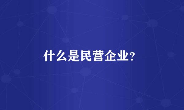 什么是民营企业？