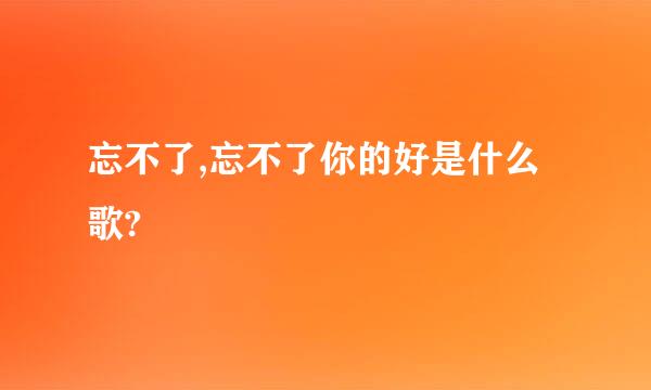 忘不了,忘不了你的好是什么歌?