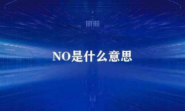 NO是什么意思