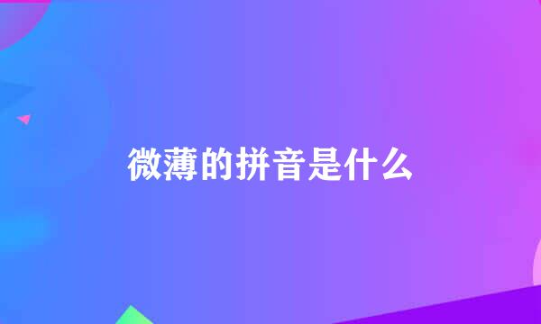 微薄的拼音是什么