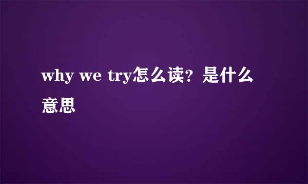 why we try怎么读？是什么意思