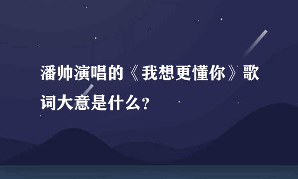 潘帅演唱的《我想更懂你》歌词大意是什么？