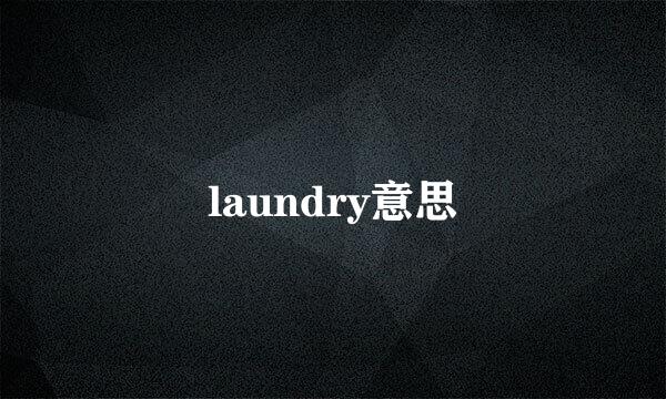 laundry意思