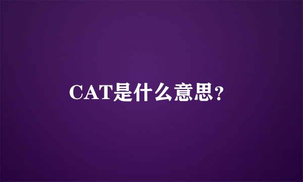 CAT是什么意思？