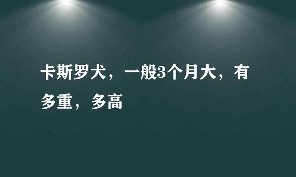 卡斯罗犬，一般3个月大，有多重，多高