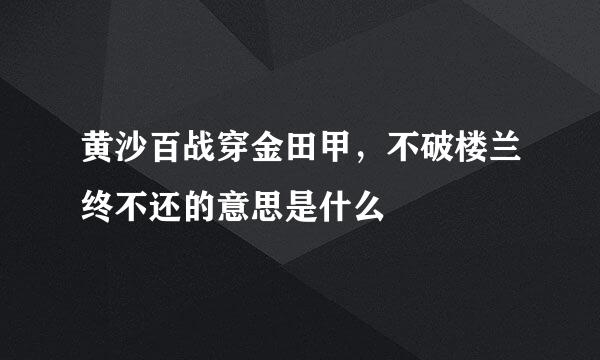 黄沙百战穿金田甲，不破楼兰终不还的意思是什么