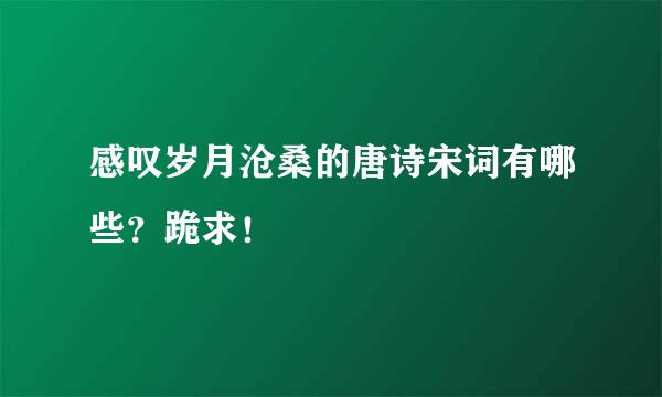 感叹岁月沧桑的唐诗宋词有哪些？跪求！