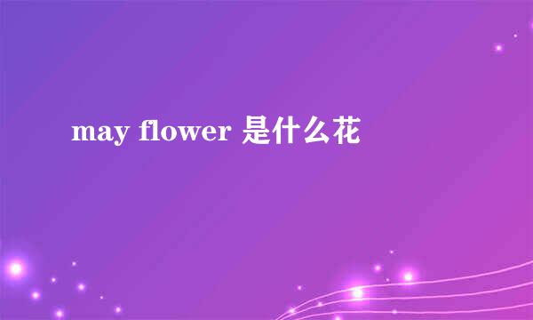 may flower 是什么花