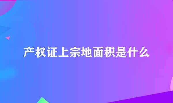 产权证上宗地面积是什么