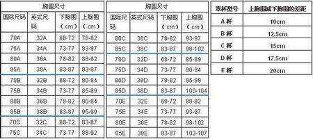 胸围100是多大