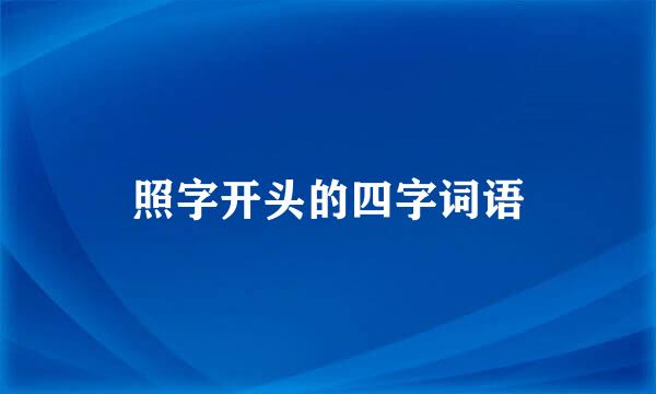 照字开头的四字词语