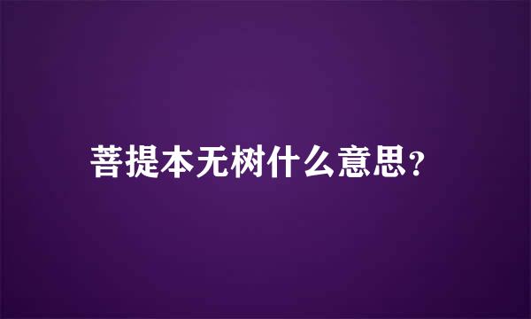 菩提本无树什么意思？