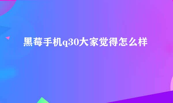 黑莓手机q30大家觉得怎么样